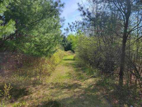 Three Rivers, Gladwin, MI 48624