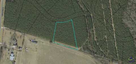 Lot 28 Evergreen Drive, Cochran, GA 31014