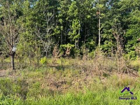 8641 Hopewell Road, Lizella, GA 31052