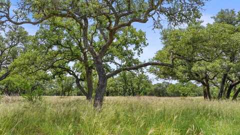 997 Sandy Oaks Ranch Rd, Johnson City, TX 78636