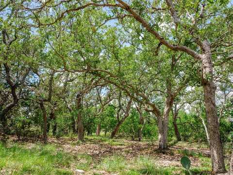 1632 Link, Doss, TX 78618
