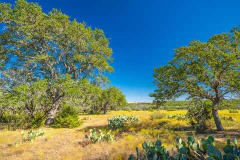 391 Henry P Schmidt Rd, Fredericksburg, TX 78624