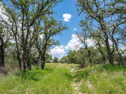1632 Link, Doss, TX 78618