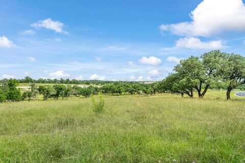 120 Crepe Myrtle Ct, Fredericksburg, TX 78624