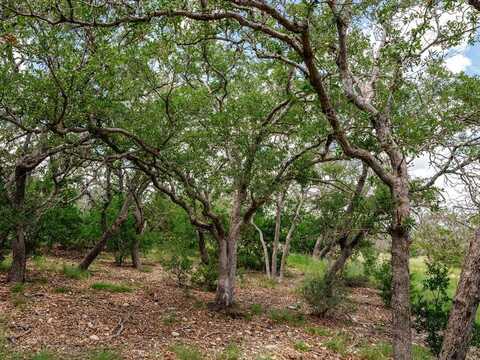 1632 Link, Doss, TX 78618