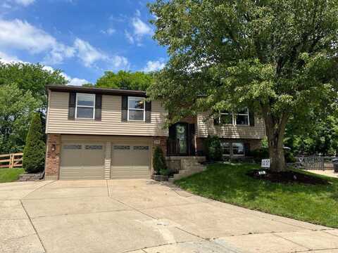 219 Assisiknoll Court, Delhi, OH 45238