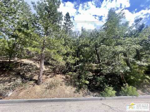 6011 Mountain Home Creek Rd, Angelus Oaks, CA 92305