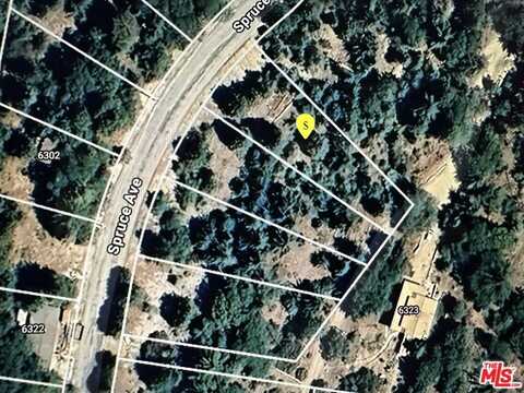 6287 Spruce Ave, Angelus Oaks, CA 92305