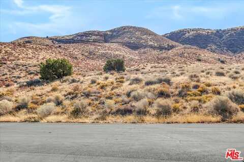0 Lakeview Dr, Palmdale, CA 93551