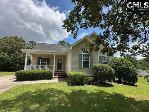 12 Beech Branch Ct, Irmo, SC 29063