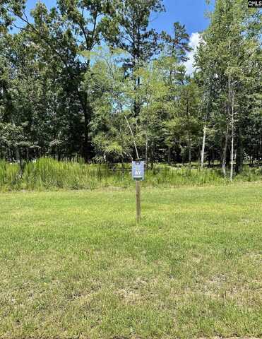 546 Misty Banks Drive, Chapin, SC 29036