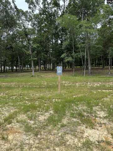 546 Misty Banks Drive 87, Chapin, SC 29036