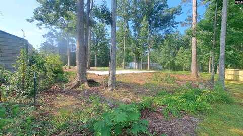 1520 Dreher Island Road, Chapin, SC 29036
