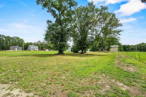 0 Elbert Taylor Rd., Gilbert, SC 29054