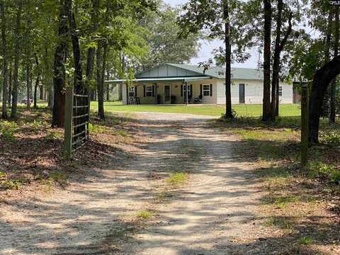 290 Gunter Pond Road, Wagener, SC 29164