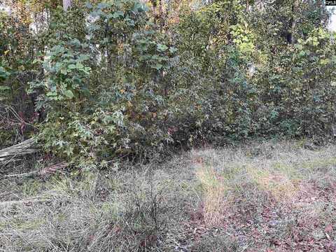 3551 Moonlight Road, Barnwell, SC 29853