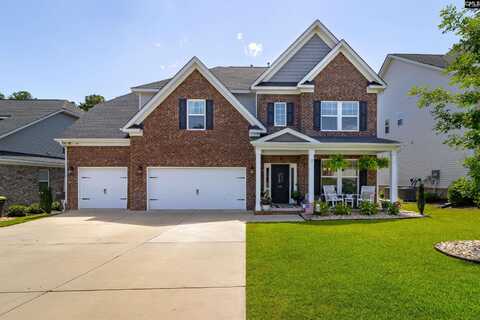 214 Chapin Brook Court, Chapin, SC 29036