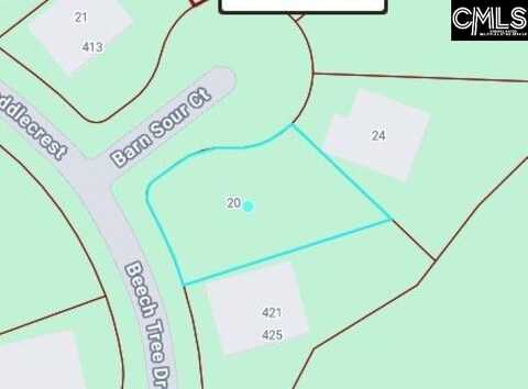 20 Barn Sour Court, Blythewood, SC 29016