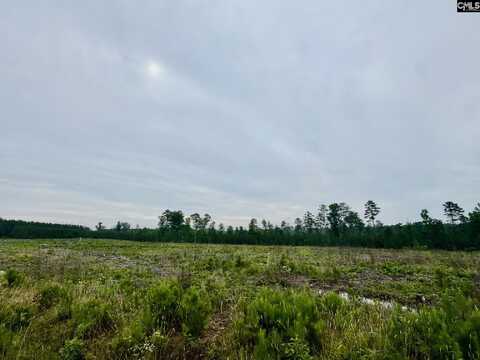 Ebb Mack Road, Saluda, SC 29138