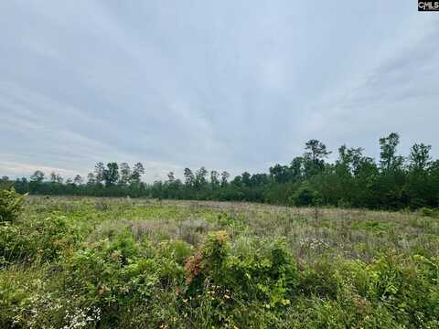 Ebb Mack Road, Saluda, SC 29138