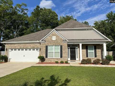 124 Doolittle Drive, Chapin, SC 29036