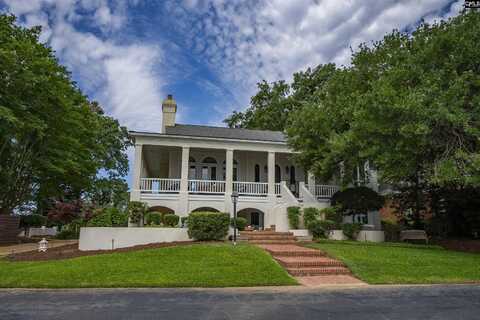 318 Lands End Drive, Chapin, SC 29036