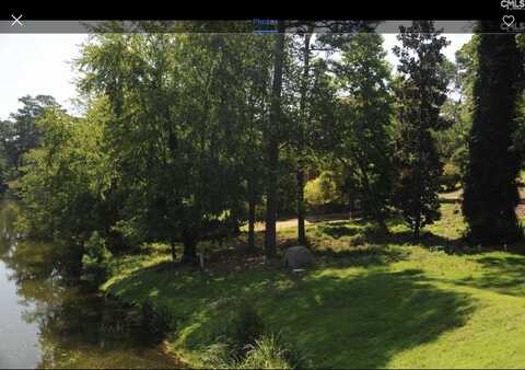 205 Branch Hill Lane, Arcadia Lakes, SC 29223