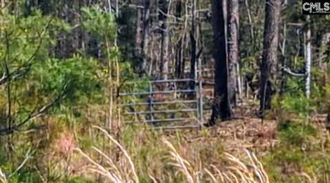 Off Evergreen Road, Winnsboro, SC 29180