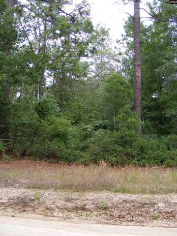 412 Sells Court, Pelion, SC 29123