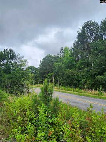 0 ELM Street, Prosperity, SC 29127