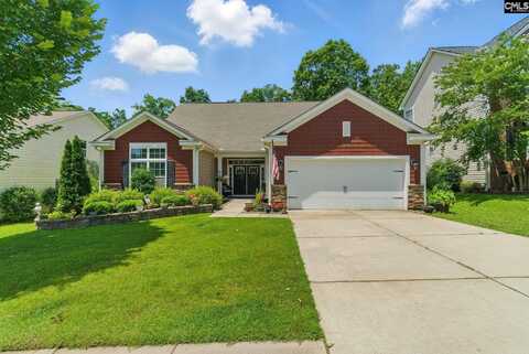 305 Explorer Drive, Chapin, SC 29036