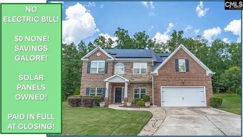 699 Village Market Drive, Chapin, SC 29036
