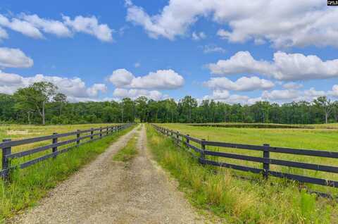 2544 Wessinger Road, Chapin, SC 29036