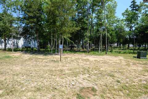 812 Elms Spinney Lane, Chapin, SC 29036