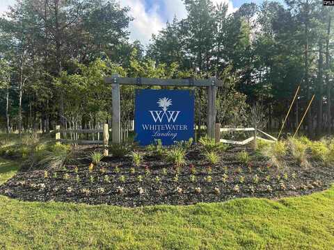 812 Elms Spinney Lane, Chapin, SC 29036