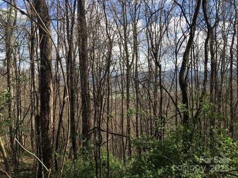 0 Kitty Lane, Waynesville, NC 28785