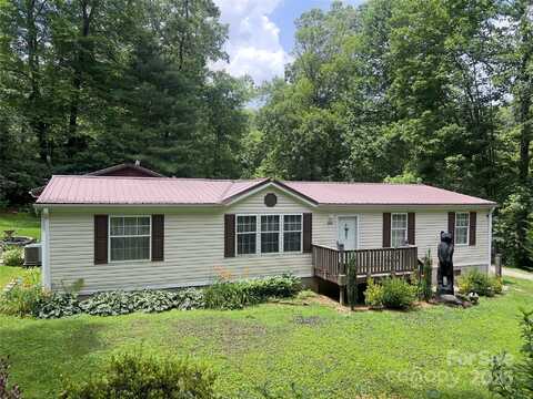 800 Turkey Pen Gap Road, Horse Shoe, NC 28742