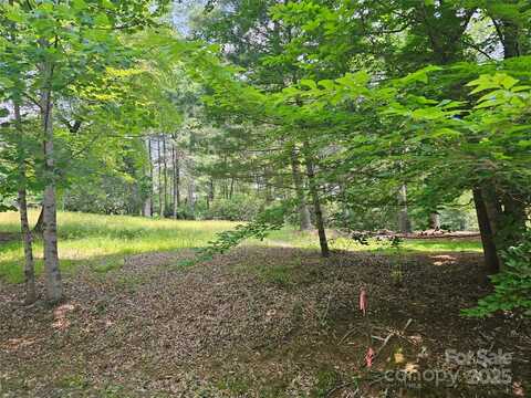 A3 Allison Creek Trail, Brevard, NC 28712