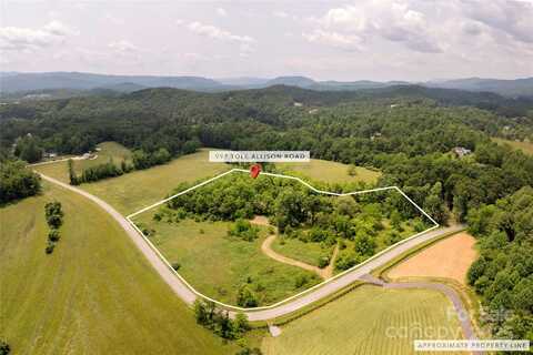 997 Tole Allison Road, Mills River, NC 28759