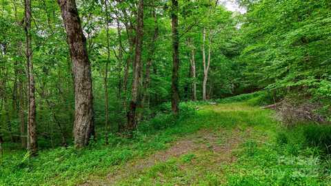 233 Woodland Springs Trail, Boone, NC 28607