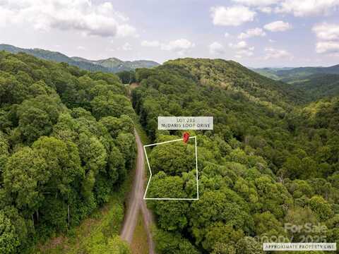 000 McDaris Loop Drive, Mars Hill, NC 28754