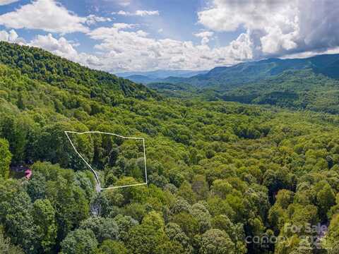 99999 Sara Ridge Road, Waynesville, NC 28786