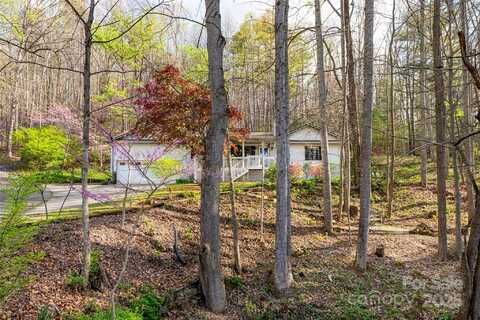 21 Mann Road, Asheville, NC 28805