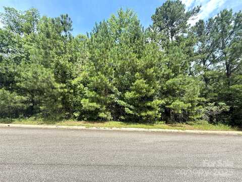 1016 Lyndon Drive, Lancaster, SC 29720