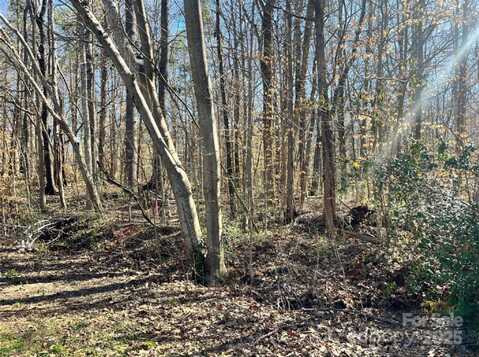 01 Lurecliff Place, Fort Mill, SC 29708