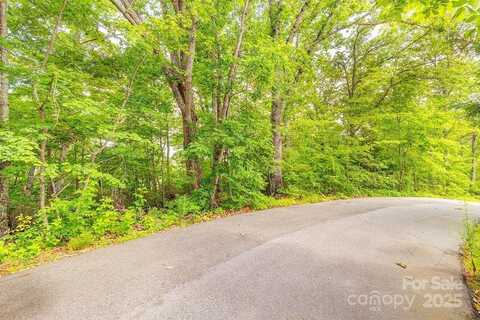 99999 Pheasant Ridge Road, Fairview, NC 28730