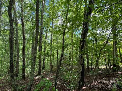 99999 Morning Star Drive, Leicester, NC 28748