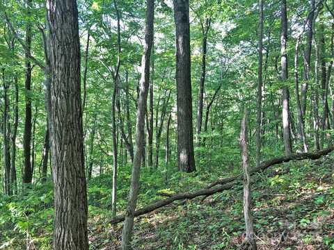 112 & 113 Grouse Road, Clyde, NC 28721