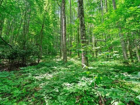 #2 Tbd Lotties Creek Road, Burnsville, NC 28714