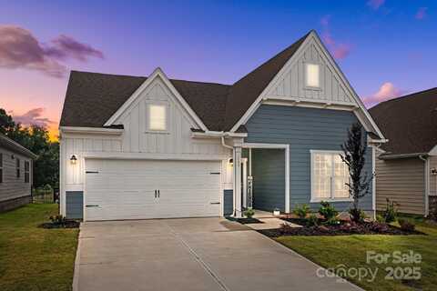 161 Pampas Place, Statesville, NC 28625